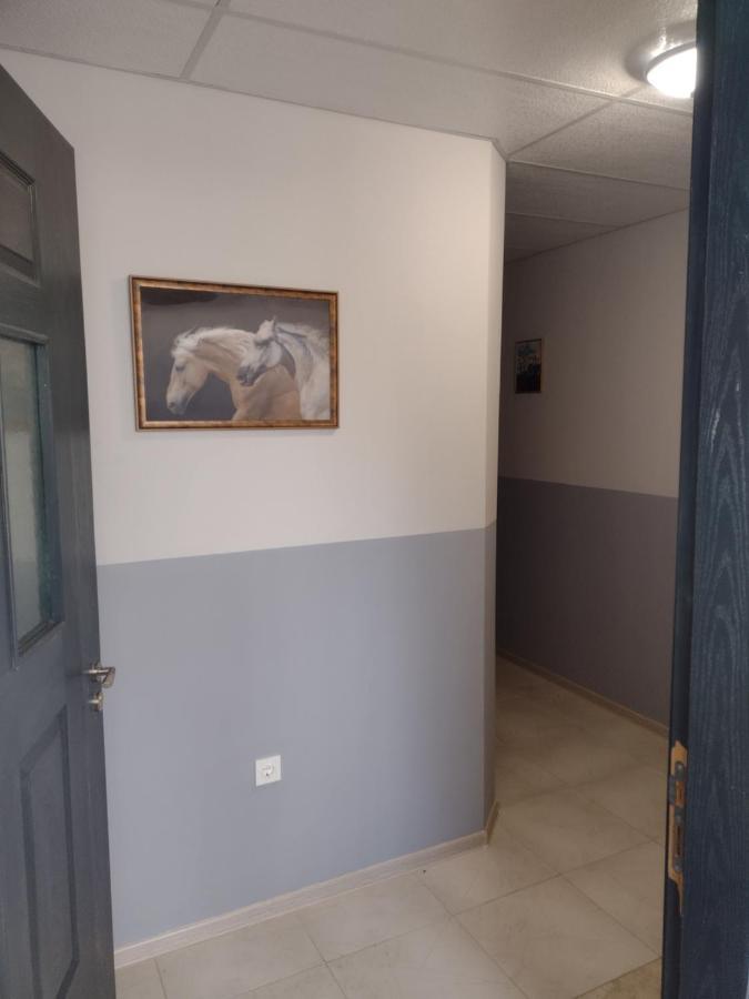 Apartments Emiza Самоков Екстер'єр фото